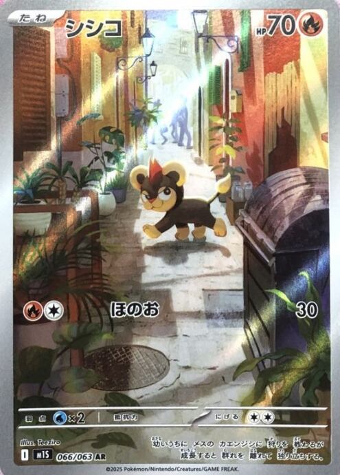 【美品】シシコ(AR)