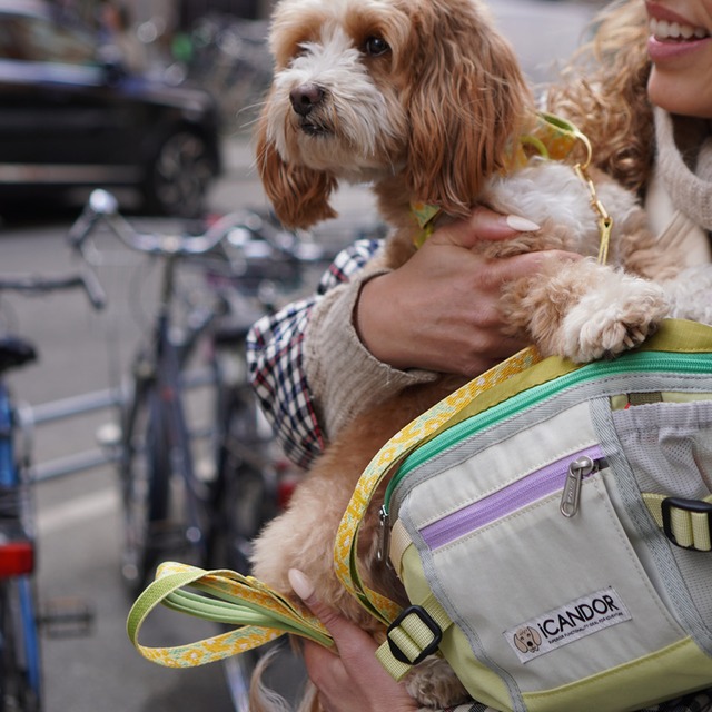 【ICANDOR】URBAN EXPLORER_LIME〈Yellow〉