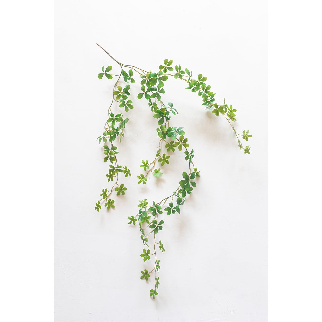 フェイクプランツ | みどりの雑貨屋 Web Shop