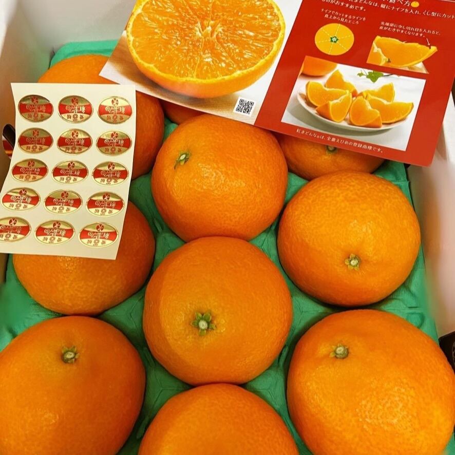 ギフトセット】（愛媛県産）紅まどんな | dreamkeinomi