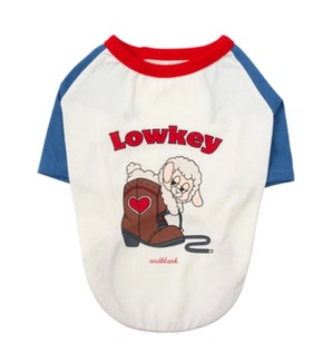 L/即納【andblank】Woolie Raglan T-Shir