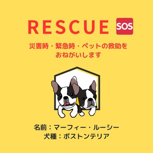 塩ビ素材ステッカー1枚　【レスキュー】　