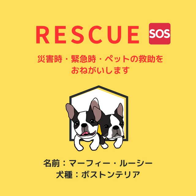 塩ビ素材ステッカー1枚　【レスキュー】　