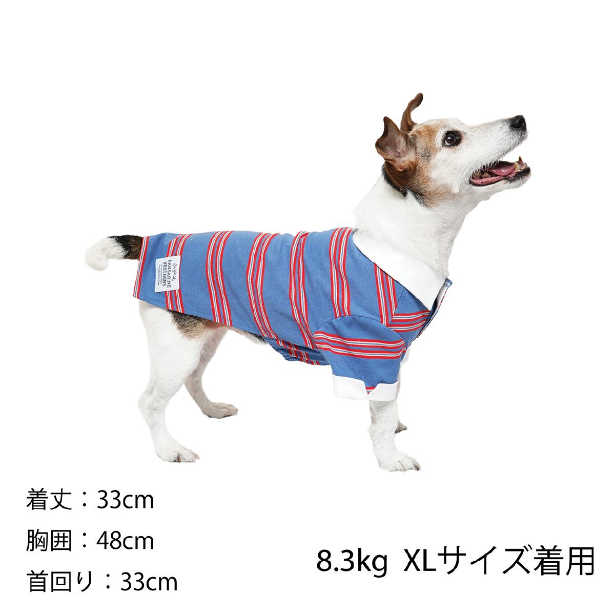 Mandarine Brothers マンダリンブラザーズ Rugger Shirt ラガーシャツ Xl Xxlサイズ ゆうパケット対応 1個まで 谷根犬