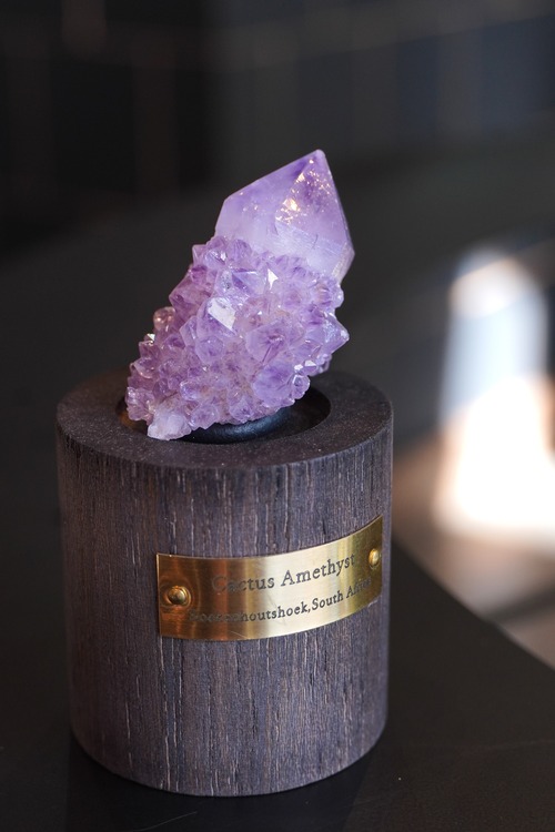 CACTUS AMETHYST-カクタス アメジスト    (N-223A
