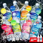 アイリスオーヤマ 炭酸水 ラベルレス 500ml ×24本 富士山の強炭酸水 バナジウム含有 強炭酸水 ペットボトル 静岡県産 ケース 500ミリリットル ボトル 割り材