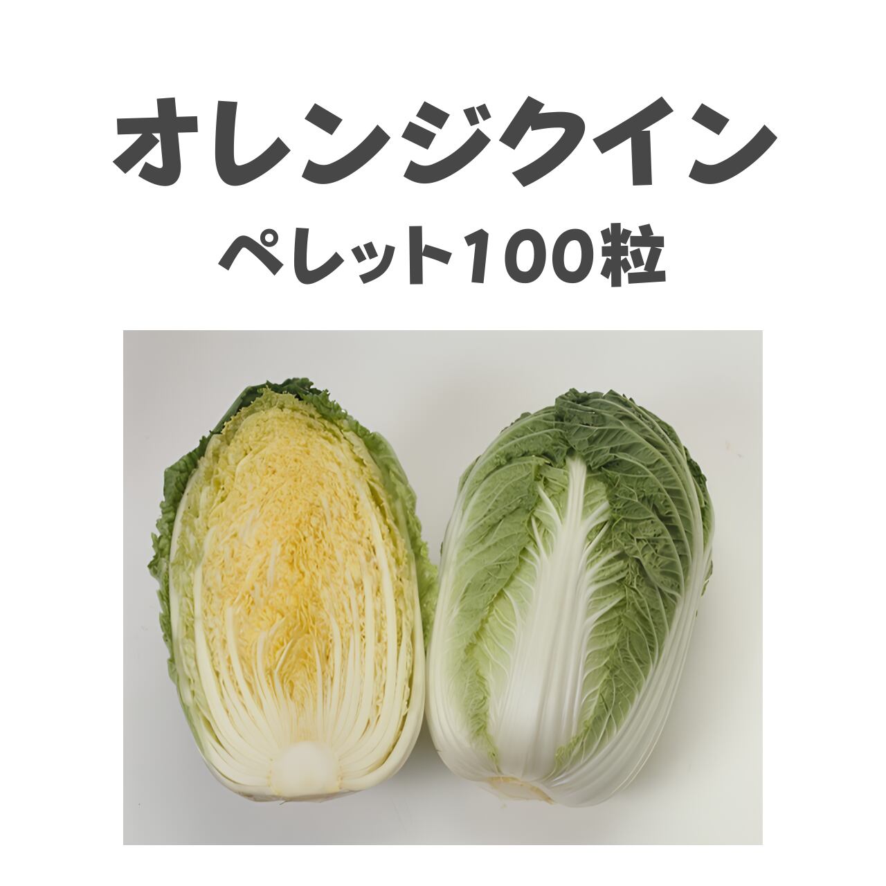 オレンジクイン ハクサイ種子・ペレット100粒