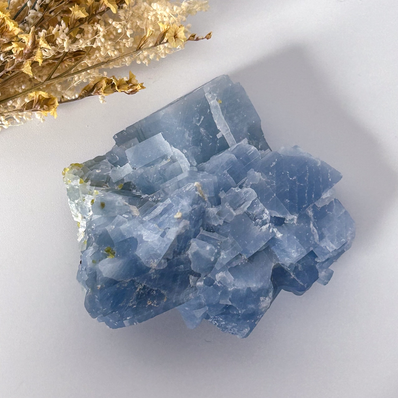 セレスタイト ペリドット共生 原石