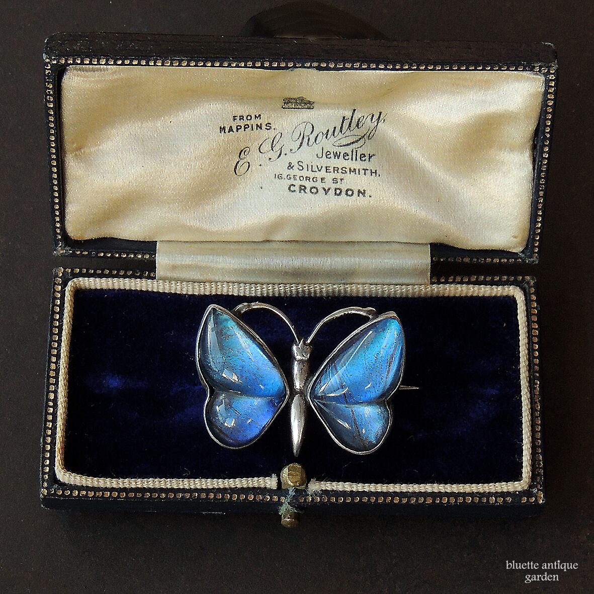 アンティークジュエリー スターリングシルバー モルフォ蝶 ブローチ