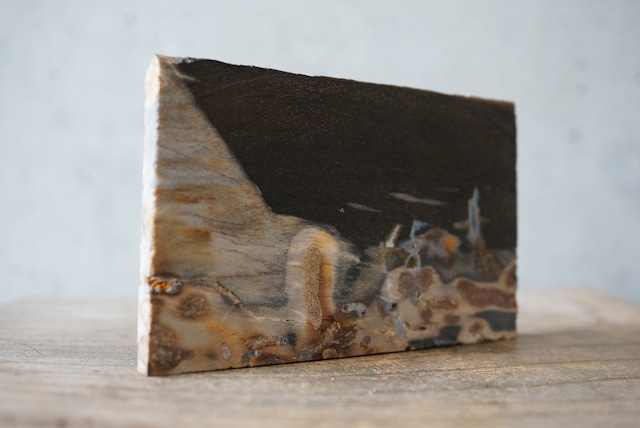 インドネシア産珪化木 Petrified Wood 751