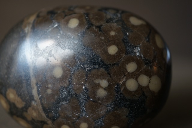 インド産ライオライト Rhyolite 1765