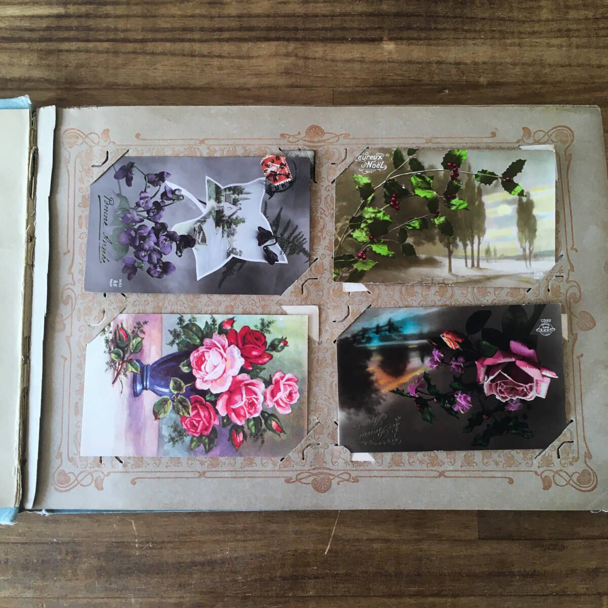 国内外の人気集結 フランスアンティク ポストカード アルバム 480枚女性 薔薇 花 子どもたち その他 Iowatribeofkansasandnebraska Com