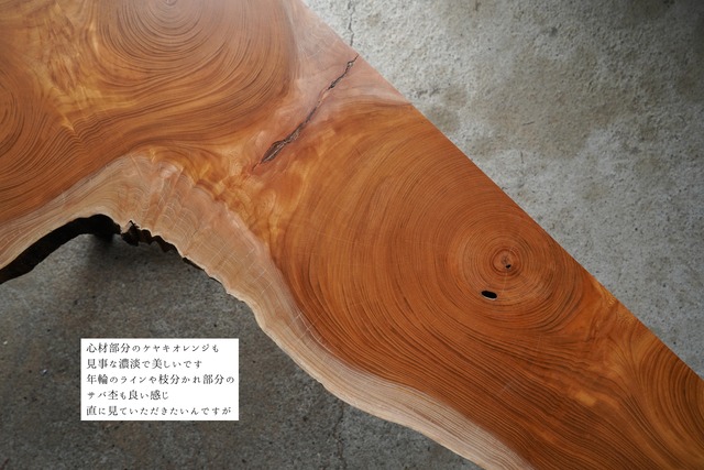 大きな欅の輪切り一枚板　ローテーブル