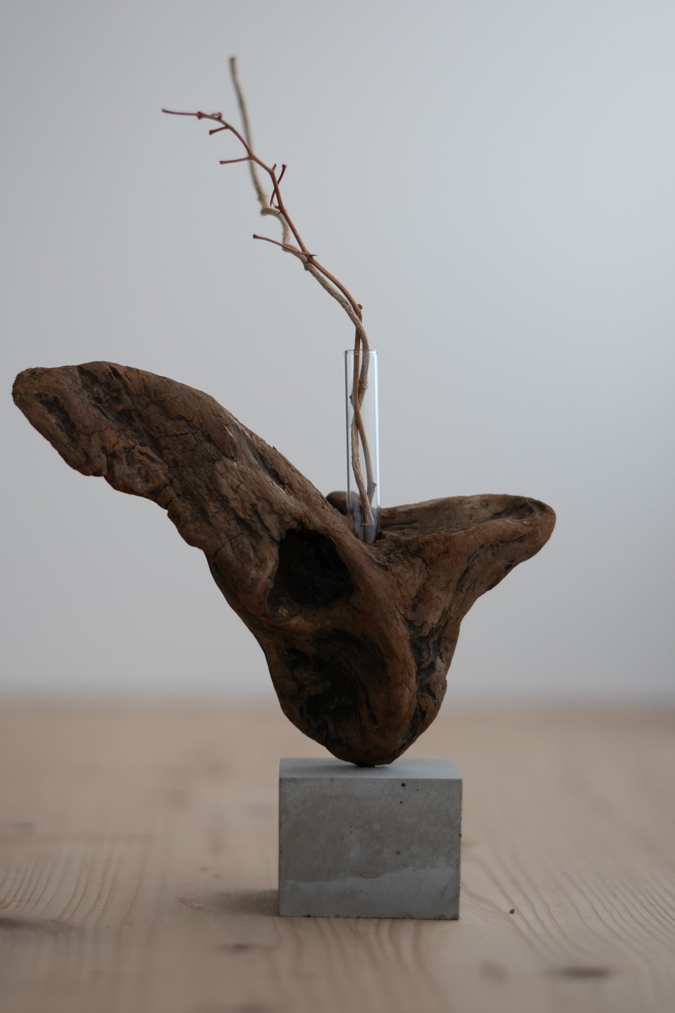 流木一輪挿し Cement S〔無塗装〕 no.19 | saisei