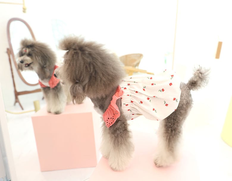 cherrycock onepiece S ~ 2XL 3color  /  犬の服 犬服 新作 ドレス お揃い ワンピース袖なし 花柄 小型犬 中型犬 ペット洋服 可愛い ドッグウェア ペット用品 b36