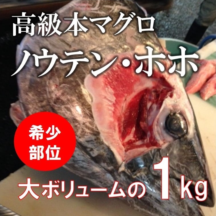 脳天　BBQ【本マグロ脳天+ホホ肉１K】　鮮魚　冷蔵　バーベキュー　海鮮　okawari　豊洲直送の高級海産物をお届け　最高級本マグロの希少部位（ホホ肉、ノウテン）［豊洲直送］計1kg　頬肉