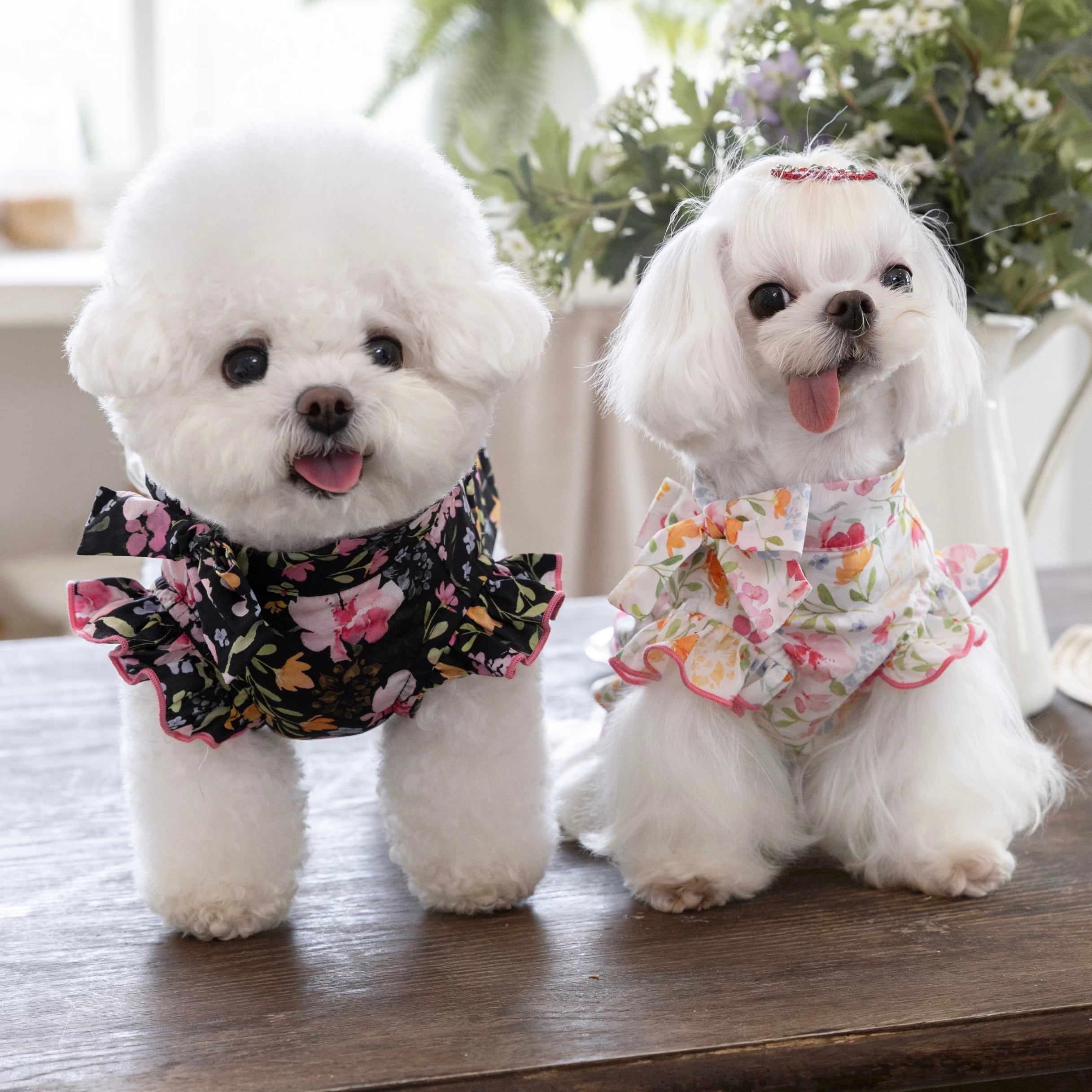 blouse,shirt | haenim dog shop