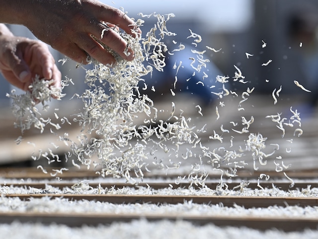 ちりめんじゃこチップス