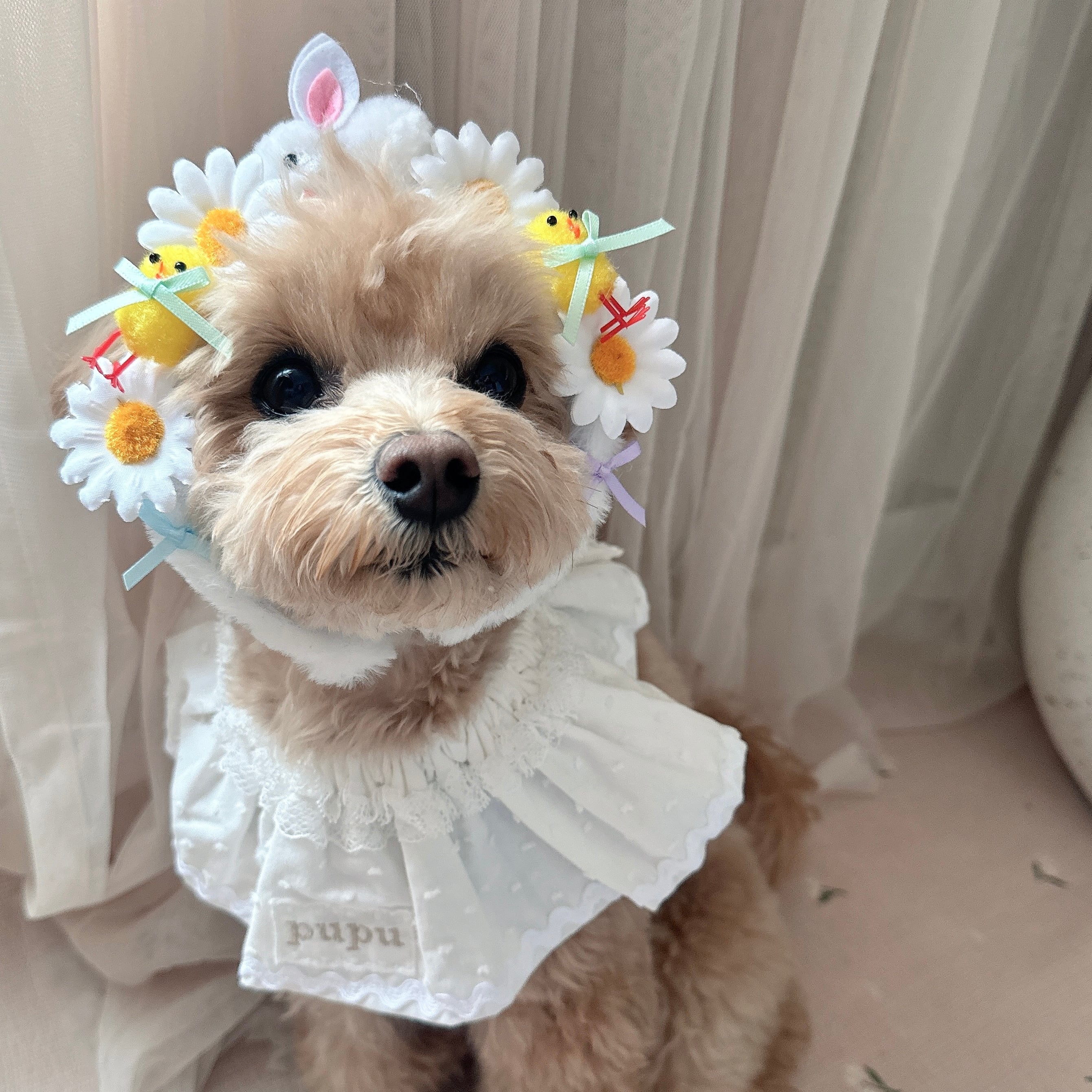 イースターの撮影用かぶりもの