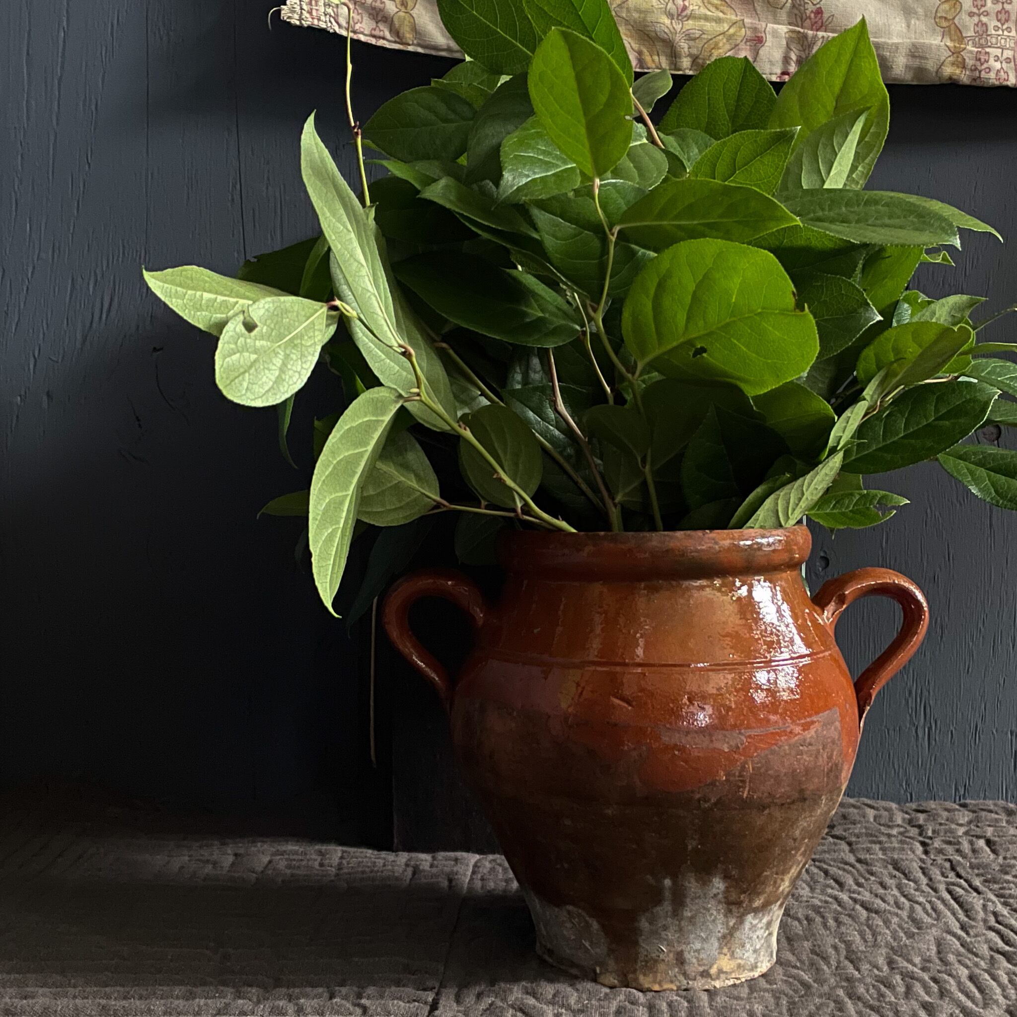 南フランス 保存ポット ｜France 19c | SASHIIRO