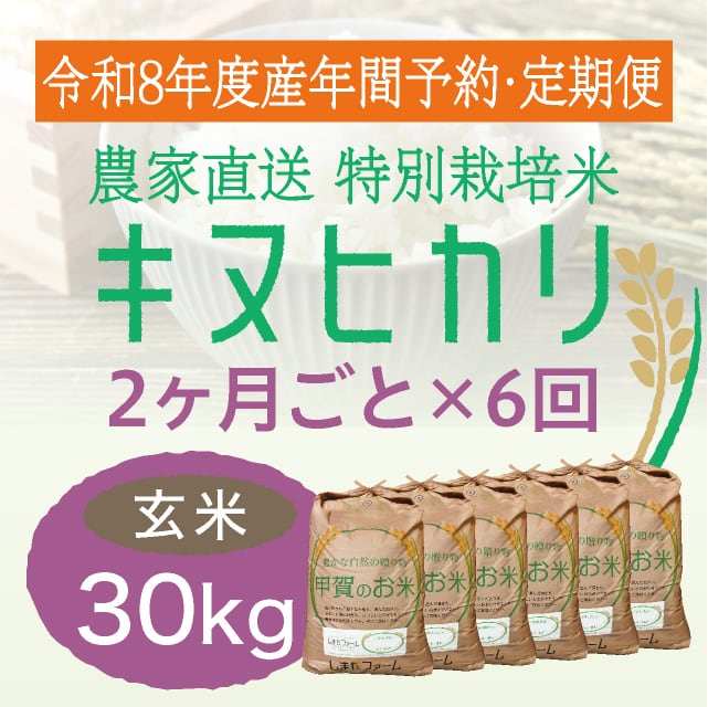 年間予約・定期便〉きぬむすめ 農家直売・特別栽培米 滋賀県産・近江米