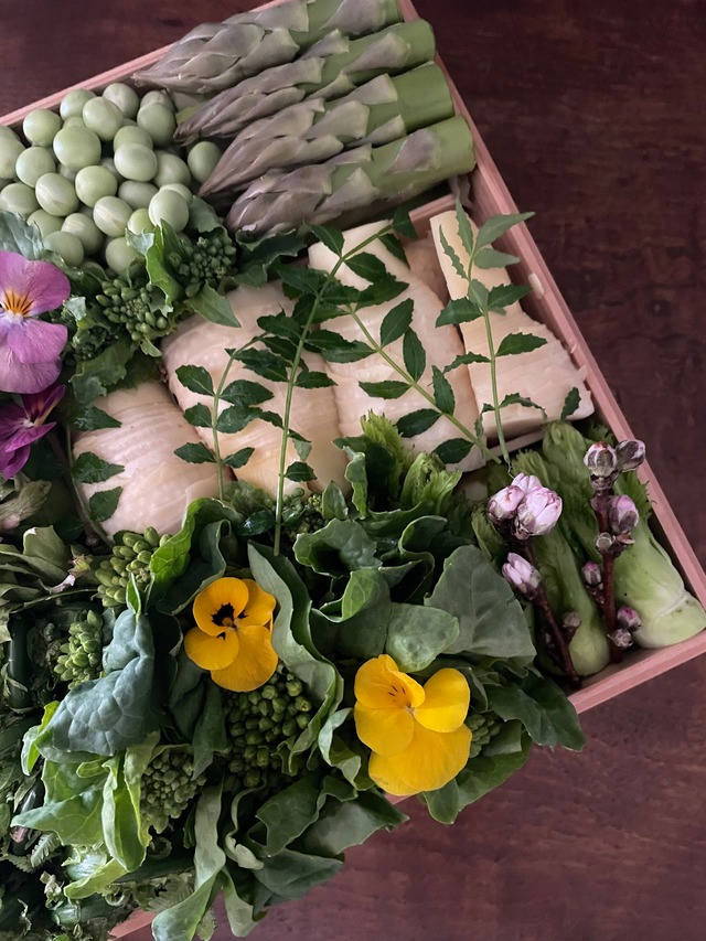 京の野菜重/木箱