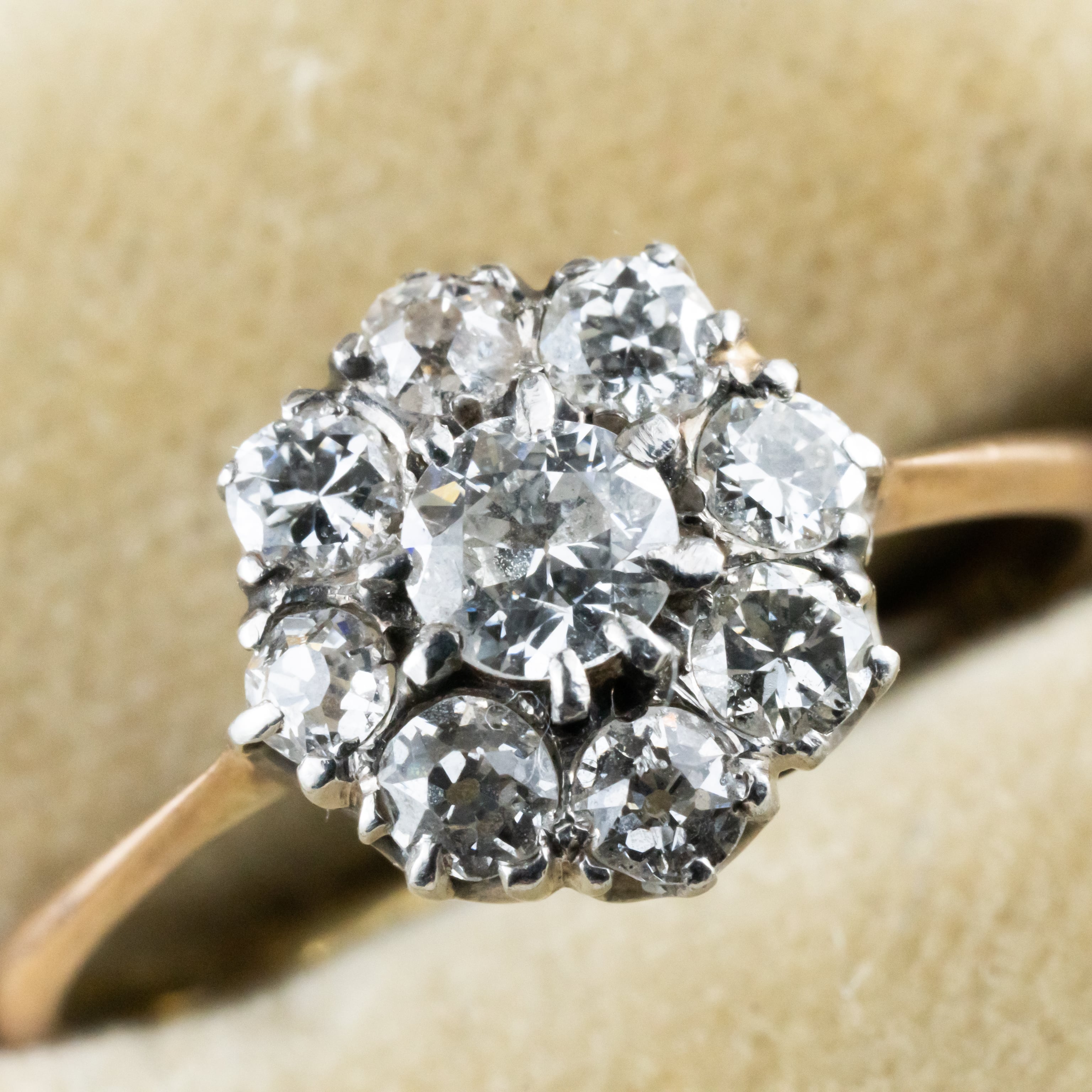 イギリス 1800年後半頃 ダイヤクラスター9pc 可愛いらしいデイジー