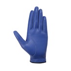 ANEW MENS Left Soft Grip Glove