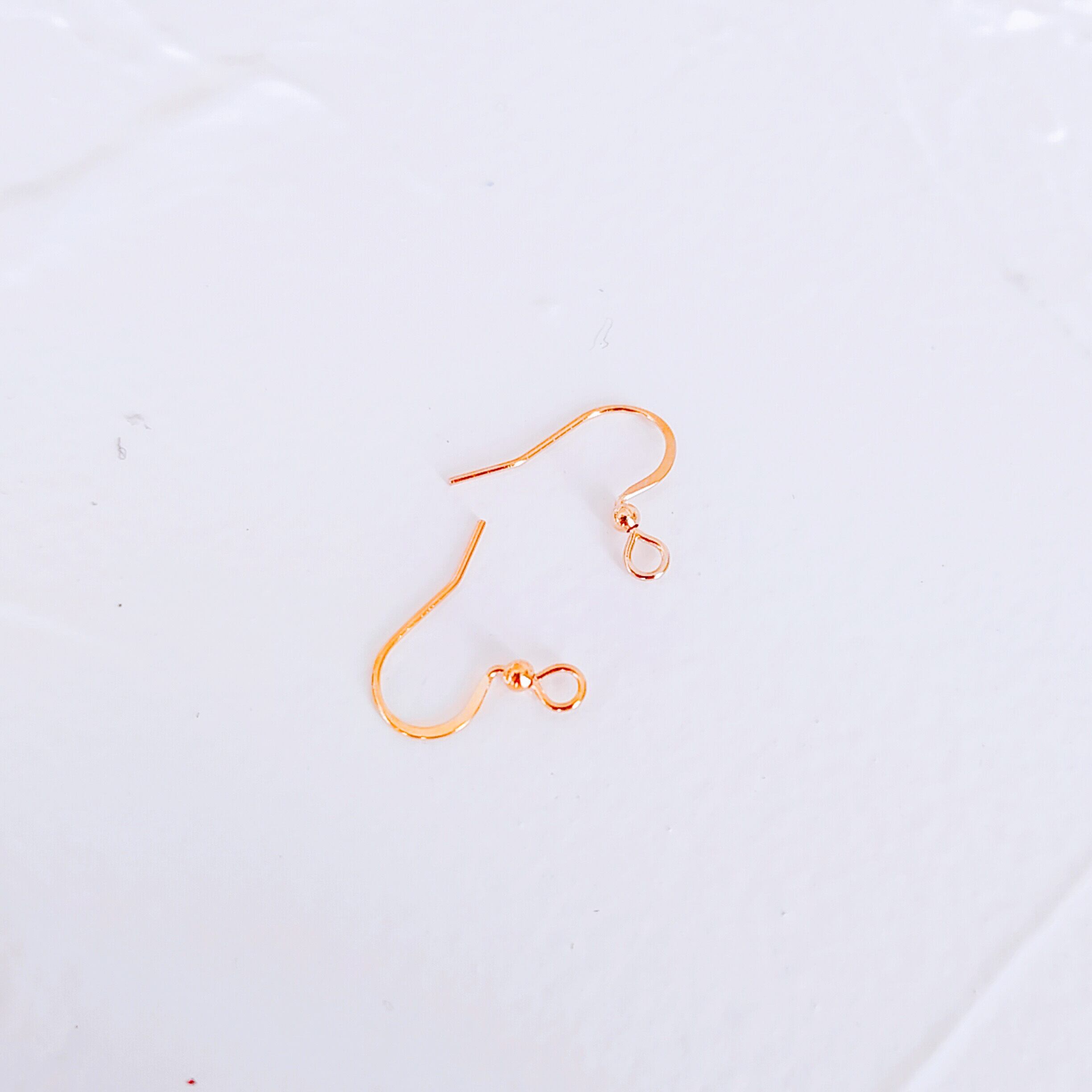 【魚の骨】earring ☽