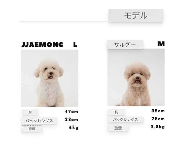 【おすすめ】ネッグウォーマー‐ (4color)