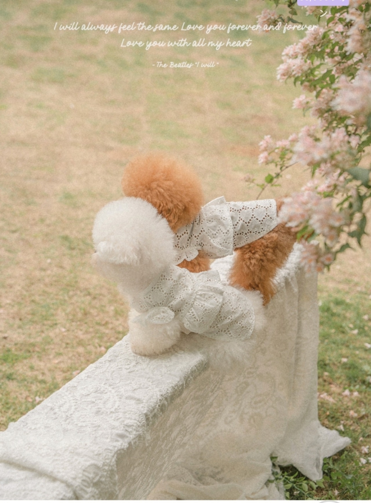 予約【pecoramou select】Lovebell One Piece