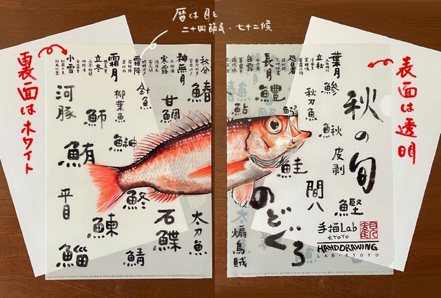 旬のお魚 クリアファイル（A4）