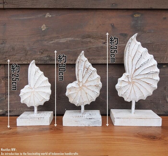 木製オブジェ オウムガイ 25cm 貝 ホワイトウォッシュ 木彫りのアート