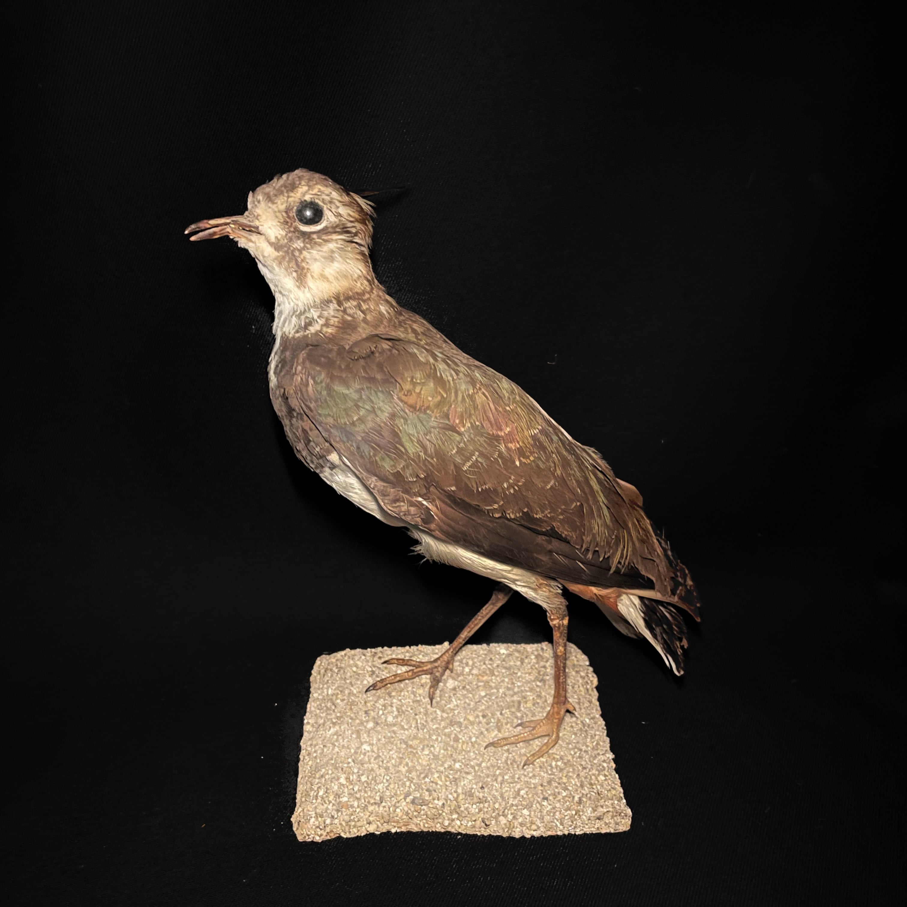 7ce240f5a40d0ddd3cf544c76b2e7a