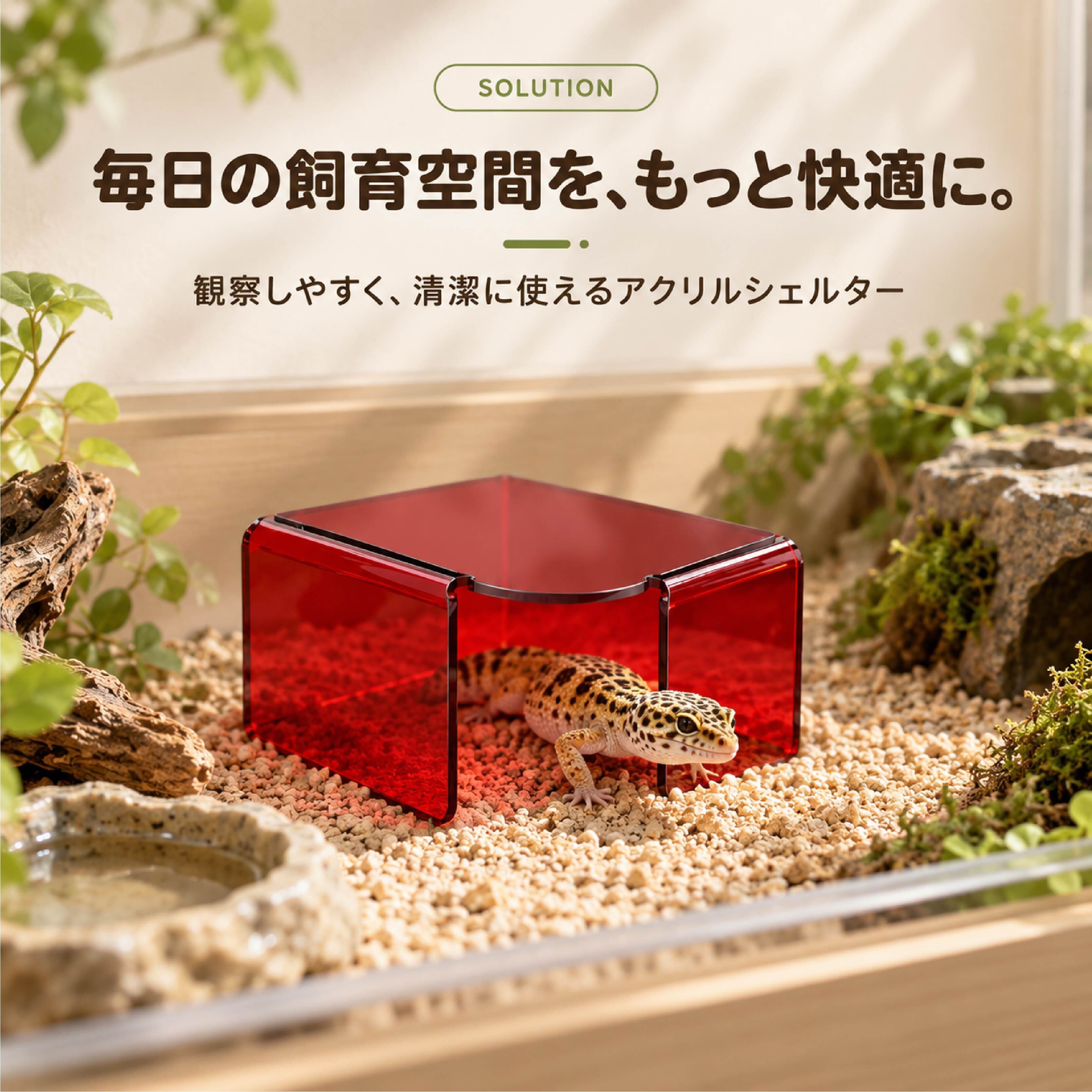 JY 1035 . アクリル爬虫類シェルター 透明飼育ケース レオパ ヤモリ