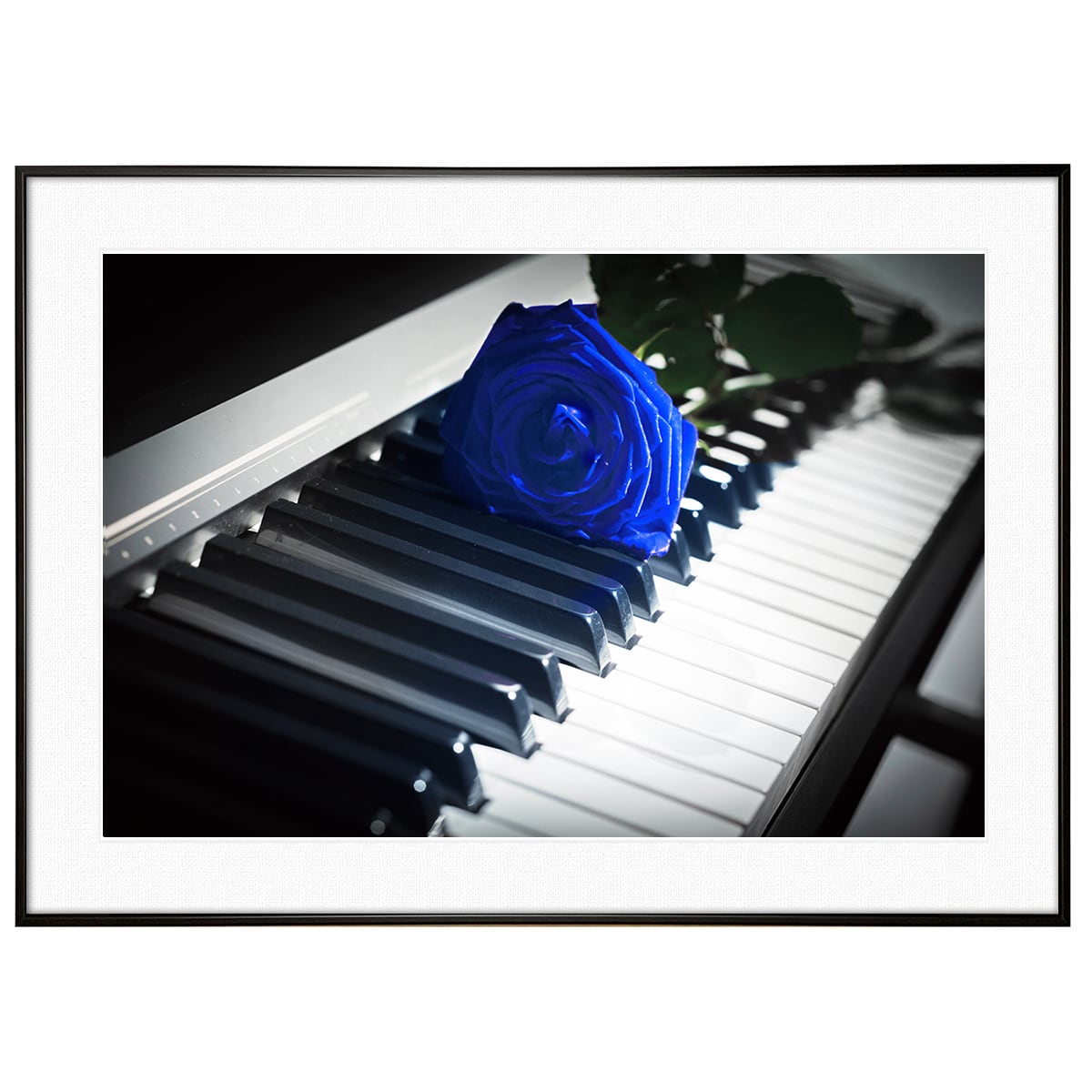 花写真 青いバラ(薔薇・ブルーローズ) インテリアアートポスター額装 AS2738