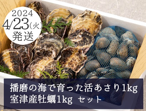 4月23日（火）発送【畜養】活あさり1kg・牡蠣 1kgセット