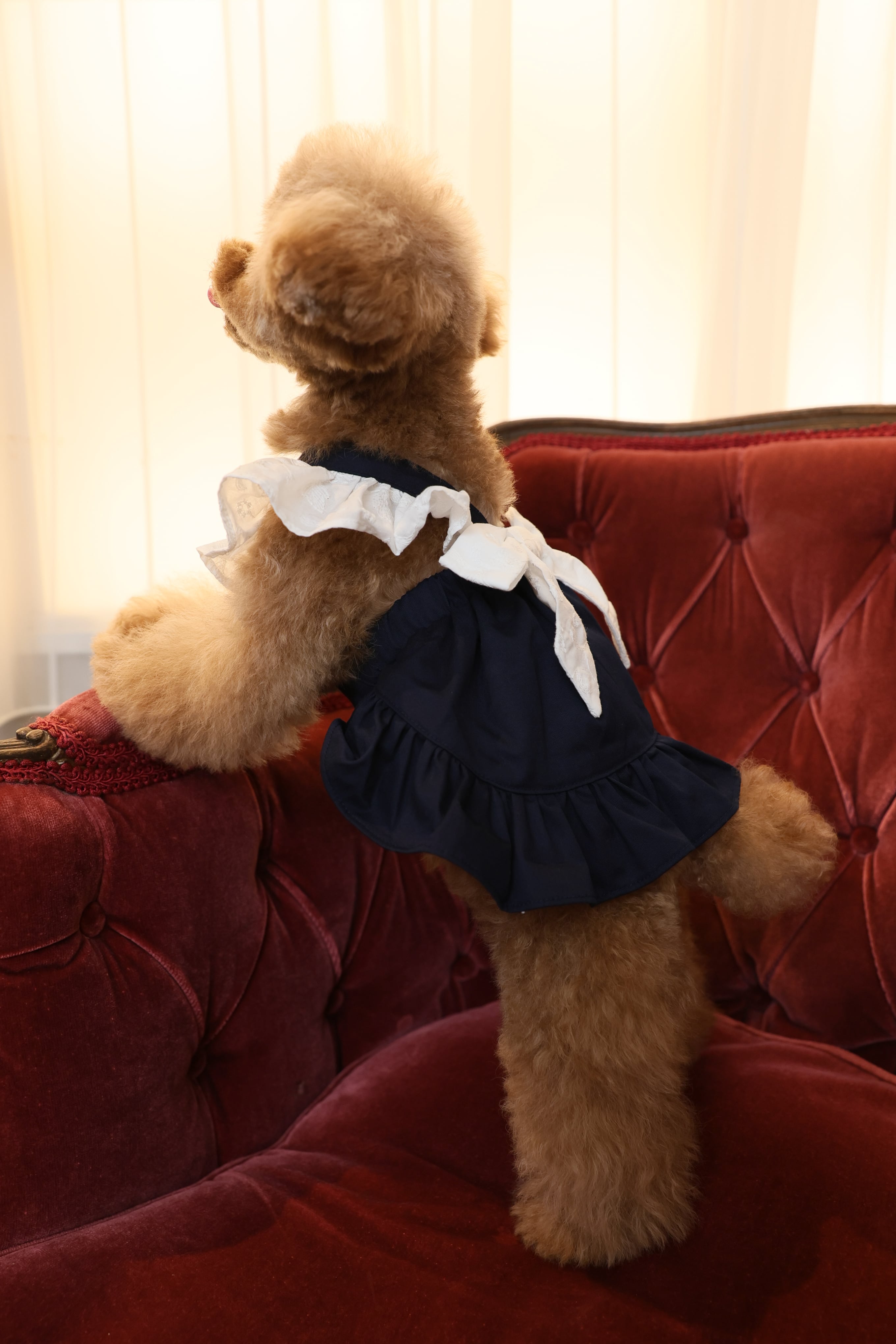 Classical Dress/ネイビー