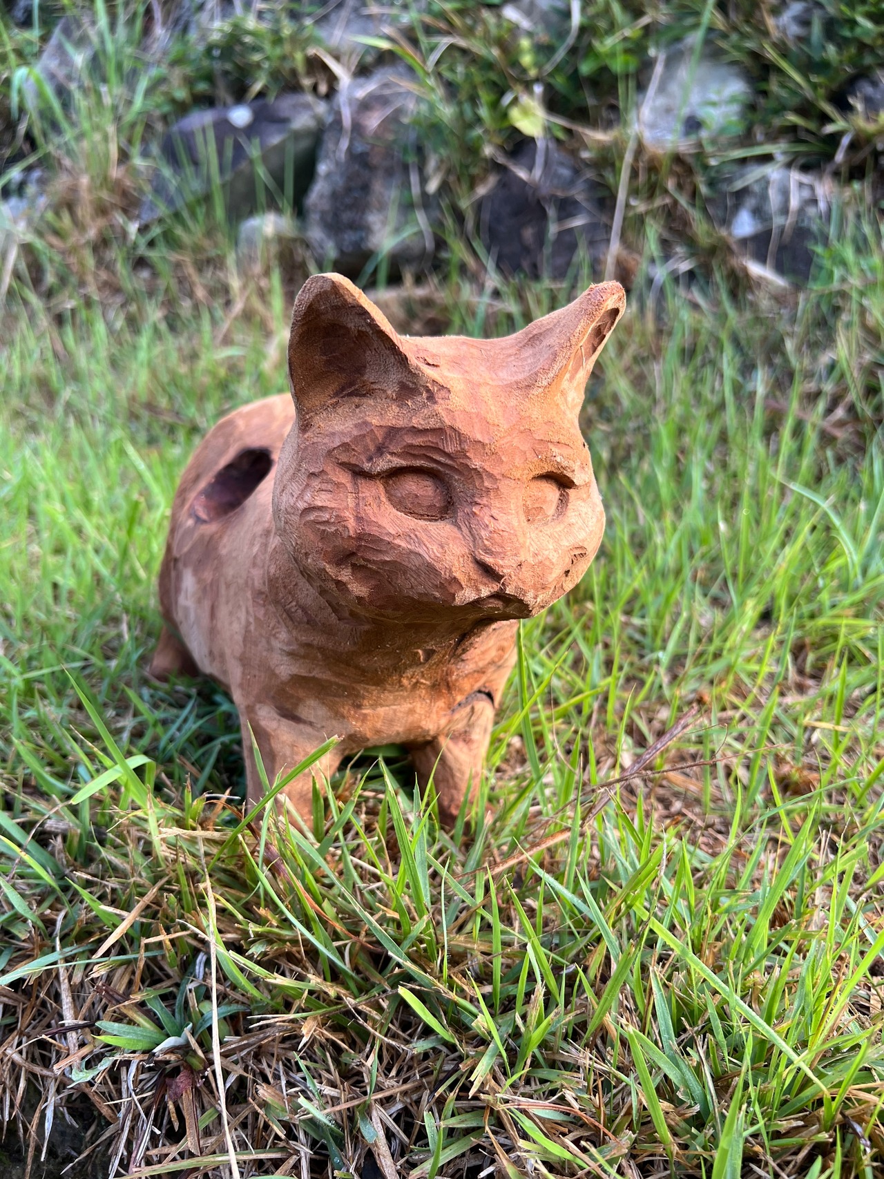 猫のヒゲ集め