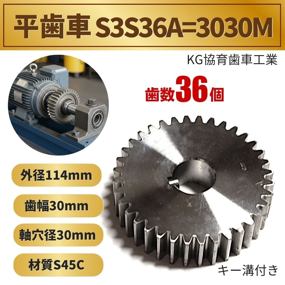 KG 協育歯車 平歯車 S3S 36A=3030M モジュール3 歯数36 軸穴径30mm