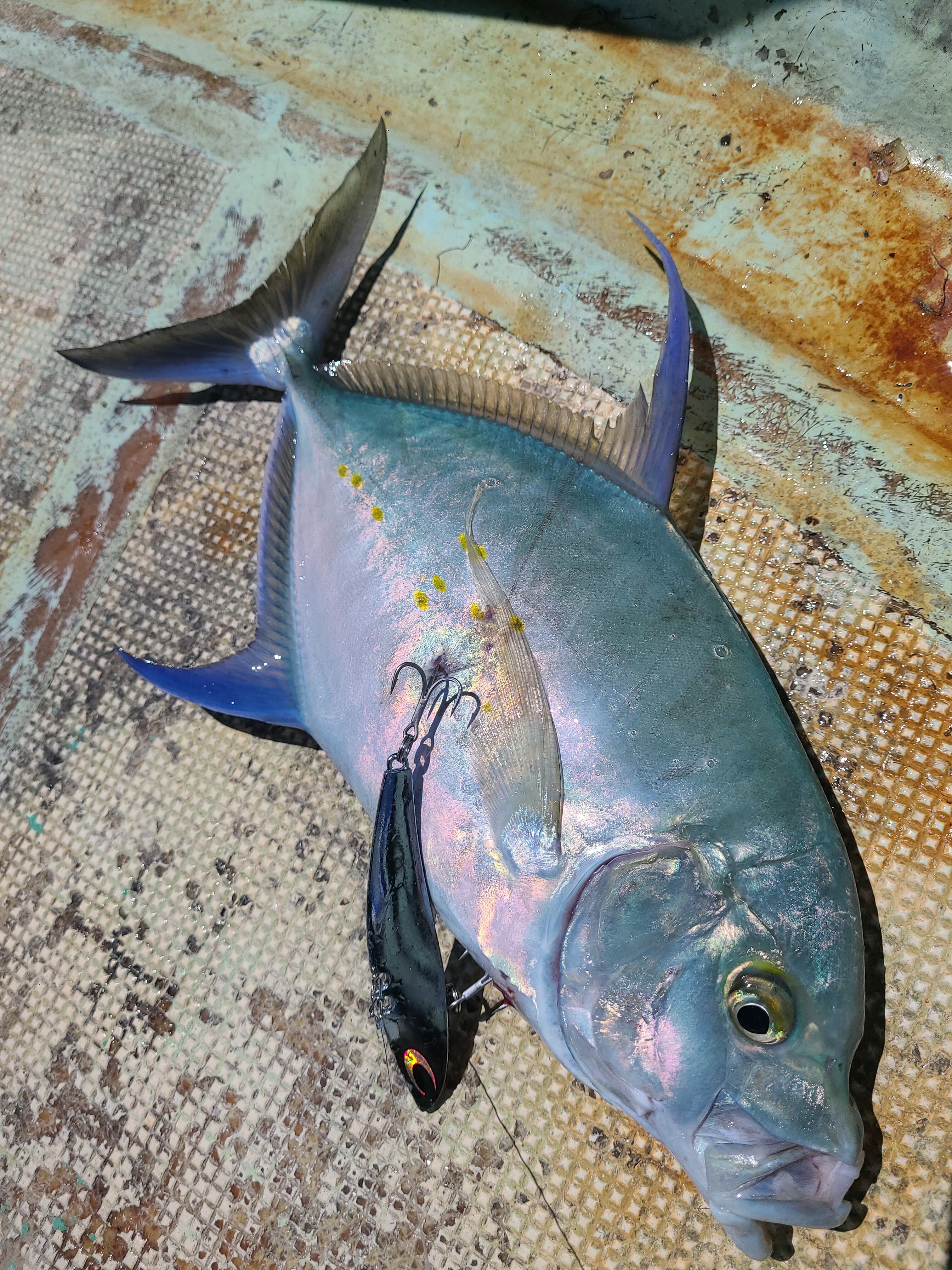 NatureBoys(ネイチャーボーイズ) 鉄腕バイブZn 150g /TETSUWAN VIB Zn