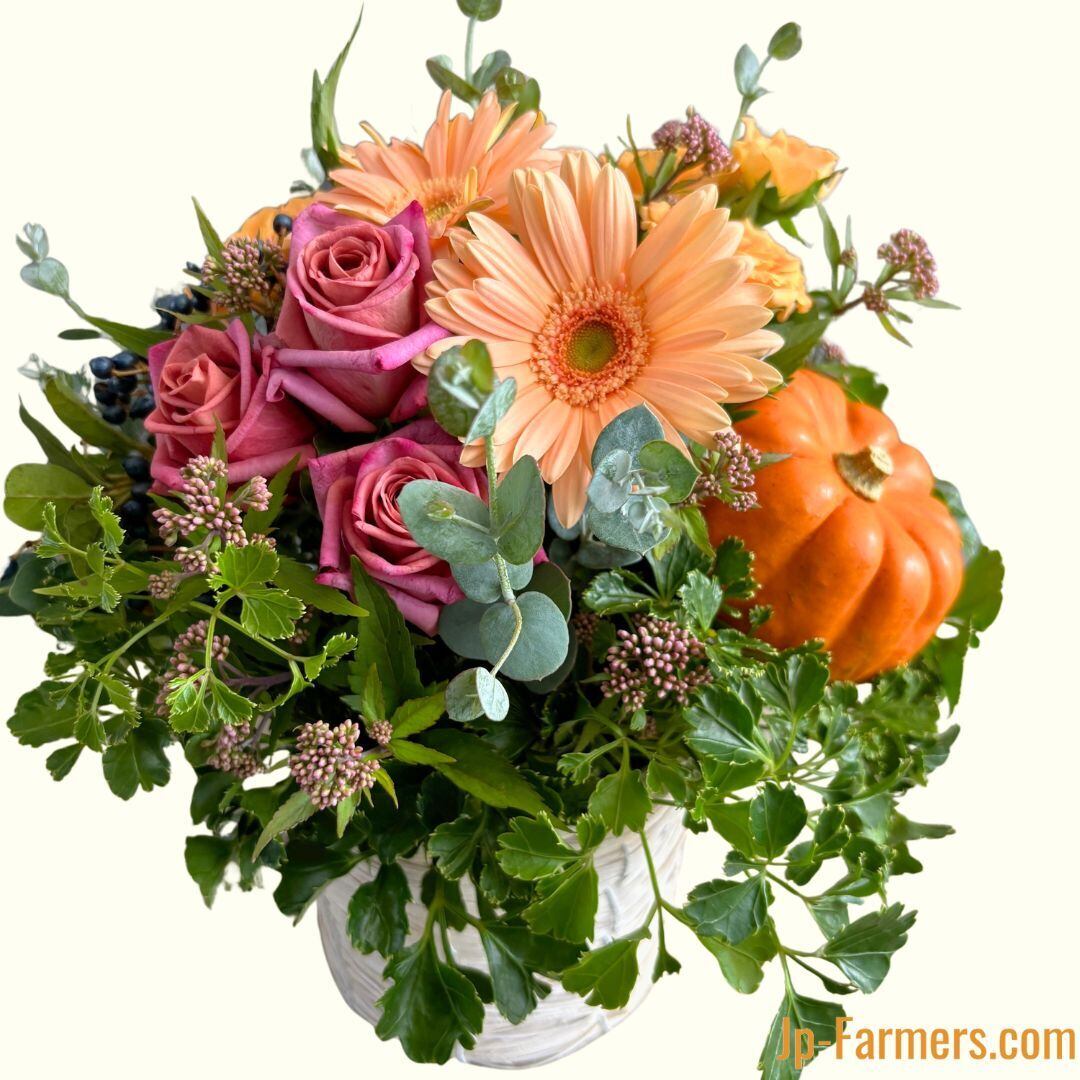 秋の収穫祭 ハロウィンかぼちゃアレンジメント | 新鮮お花問屋