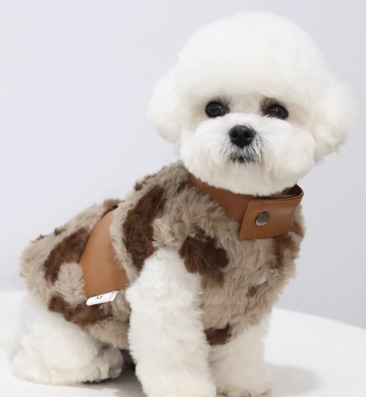 《予約》№1103137 ファーxレザースタイルジャケット