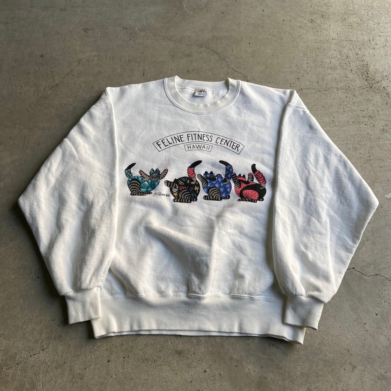 USA　crazy shirt　エアロビクリバンキャット　両面プリントスウェット