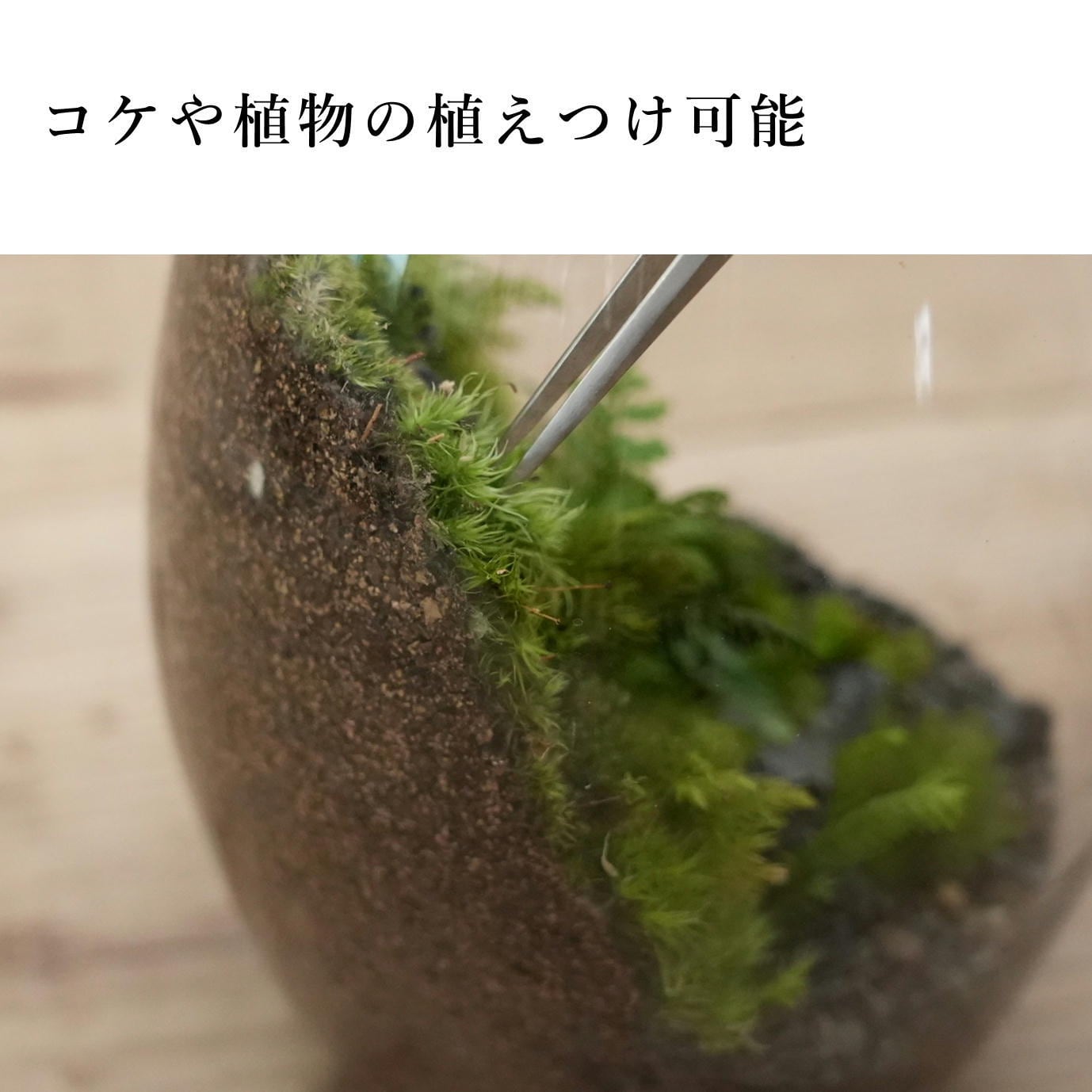 崩れにくい土 苔テラリウム造形用SOIL（ソイル）☆【お得な5袋セット