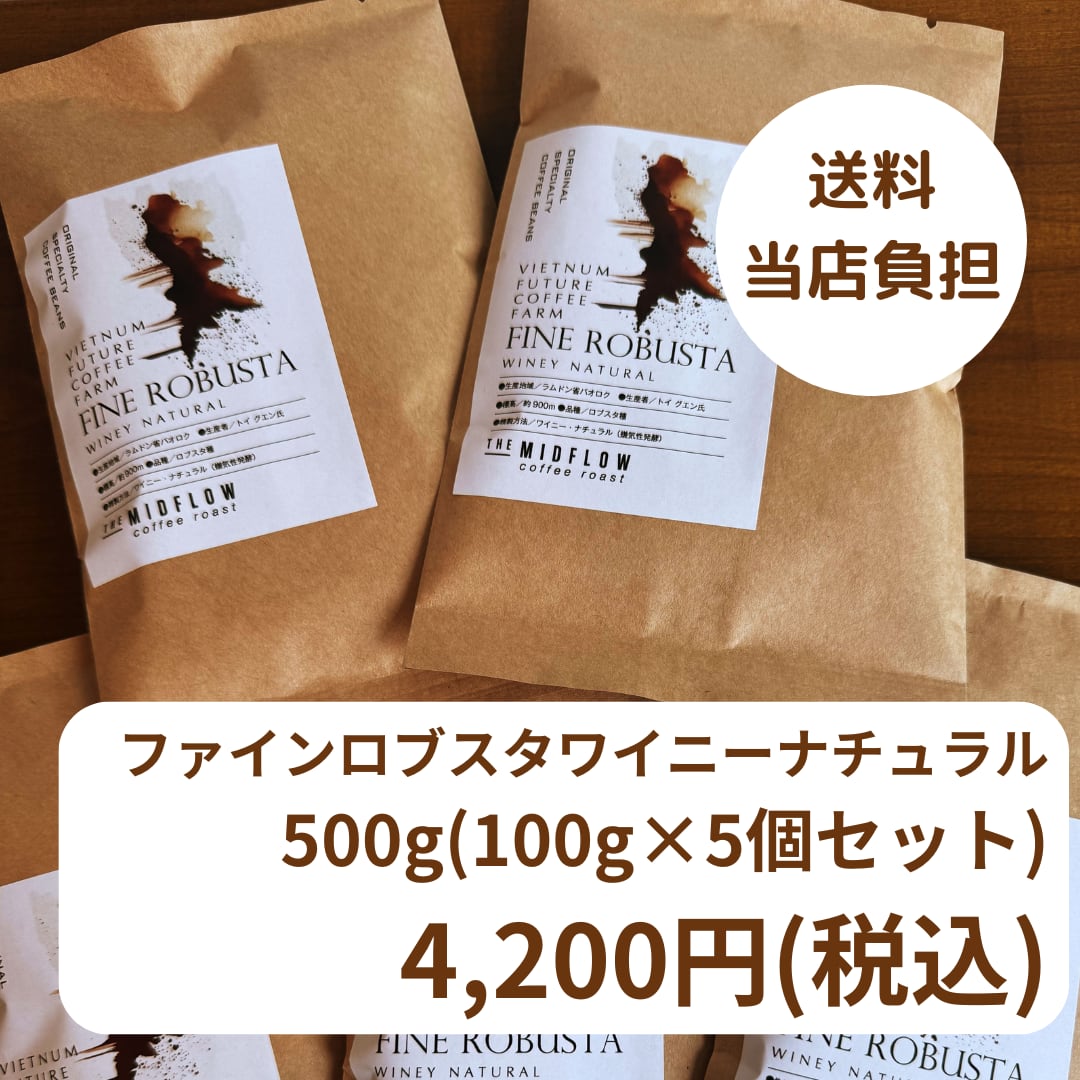 オンライン限定 500gセット】【中深煎】ベトナム産 ファインロブスタ