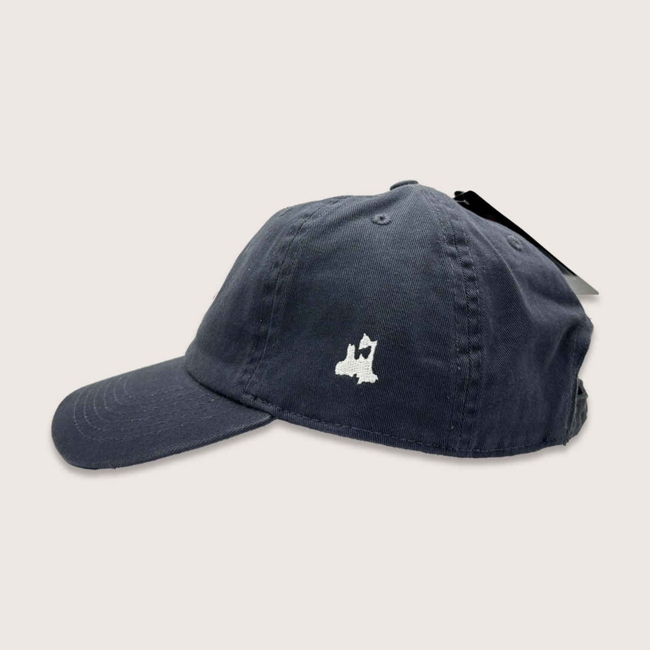 SANPACHI REGION BASEBALL LOW CAP DENIM BLUE