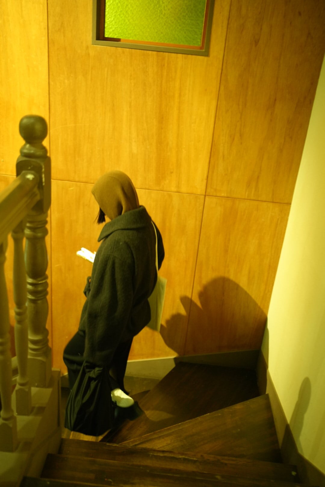 MOON TREE PLANET - ZUKIN brown | Pay ID