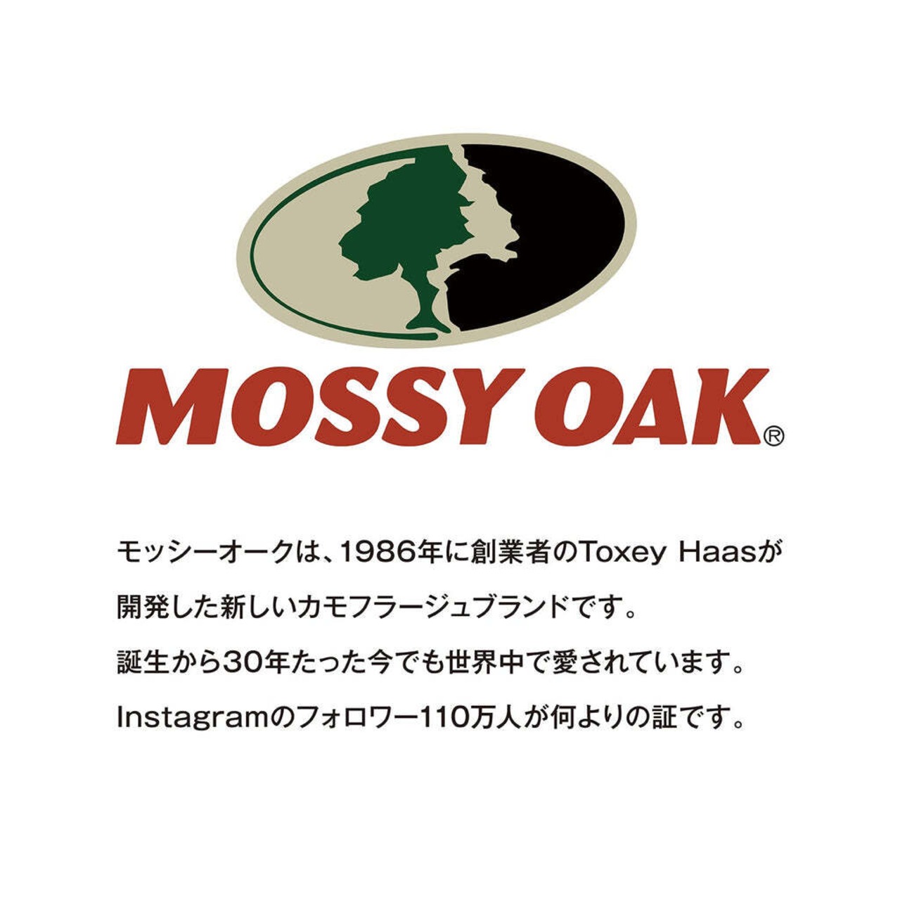 Coolers 12パック キャンバス ソフトクーラー ボトムランド