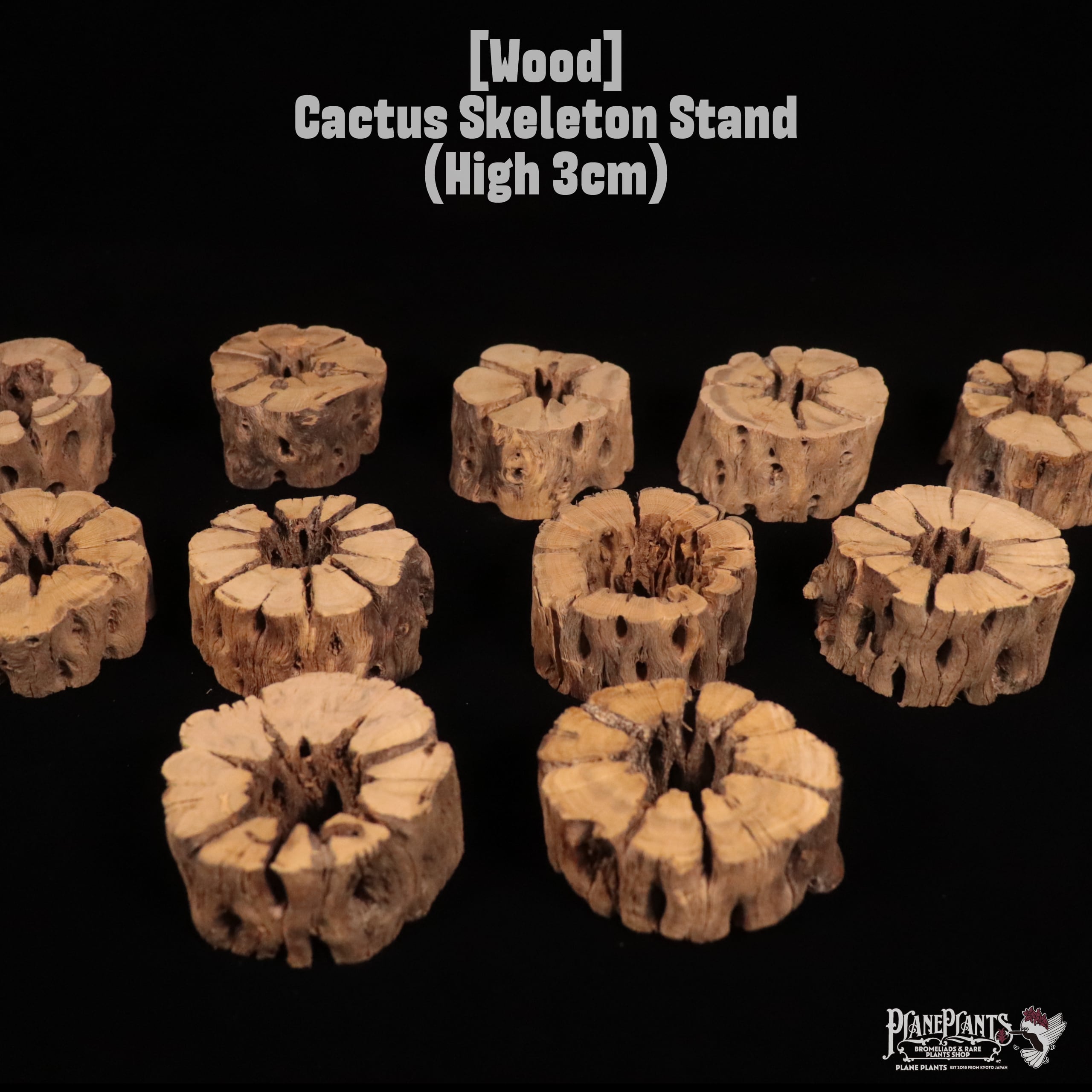 【送料別】Cactus Skeleton Stand (3cm size)